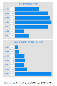 Energy Leadership Index assessments results sample graph for coaching debrief