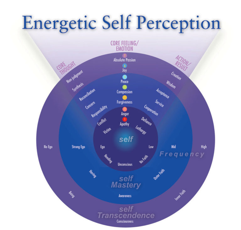 Energy Leadership Index Self-Perception Chart for coaching debrief